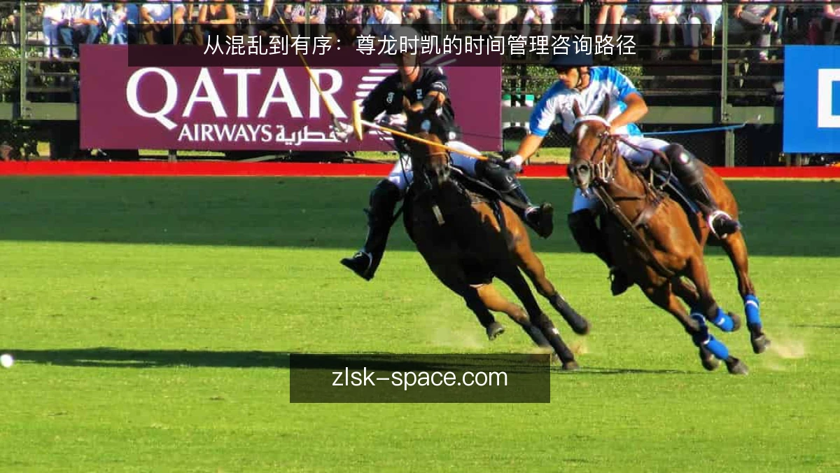 从混乱到有序：尊龙时凯的时间管理咨询路径
