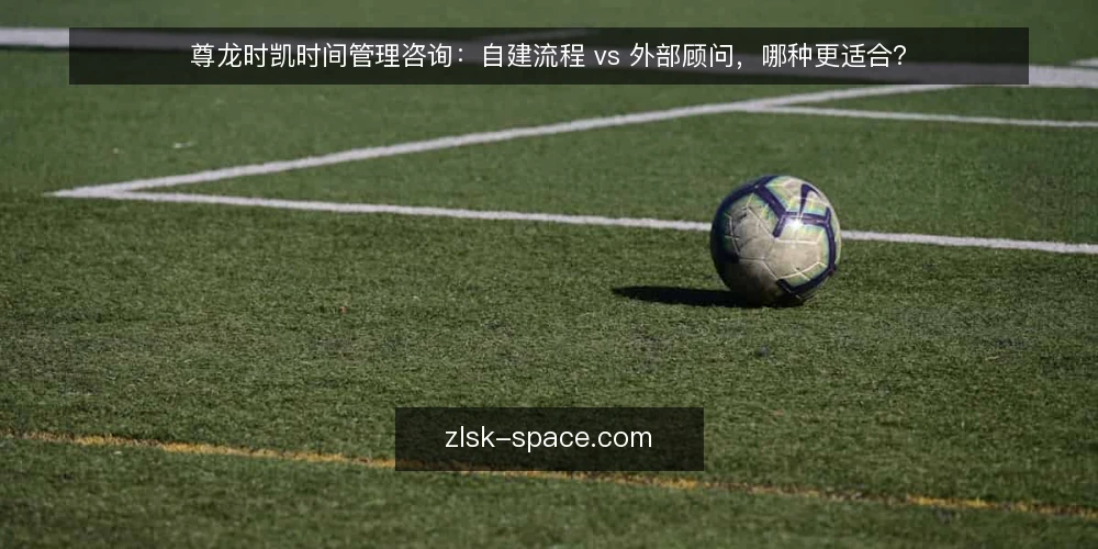 尊龙时凯时间管理咨询:自建流程 vs 外部顾问,哪种更适合? — 决策标准:先看组织规模与变革意愿 配图