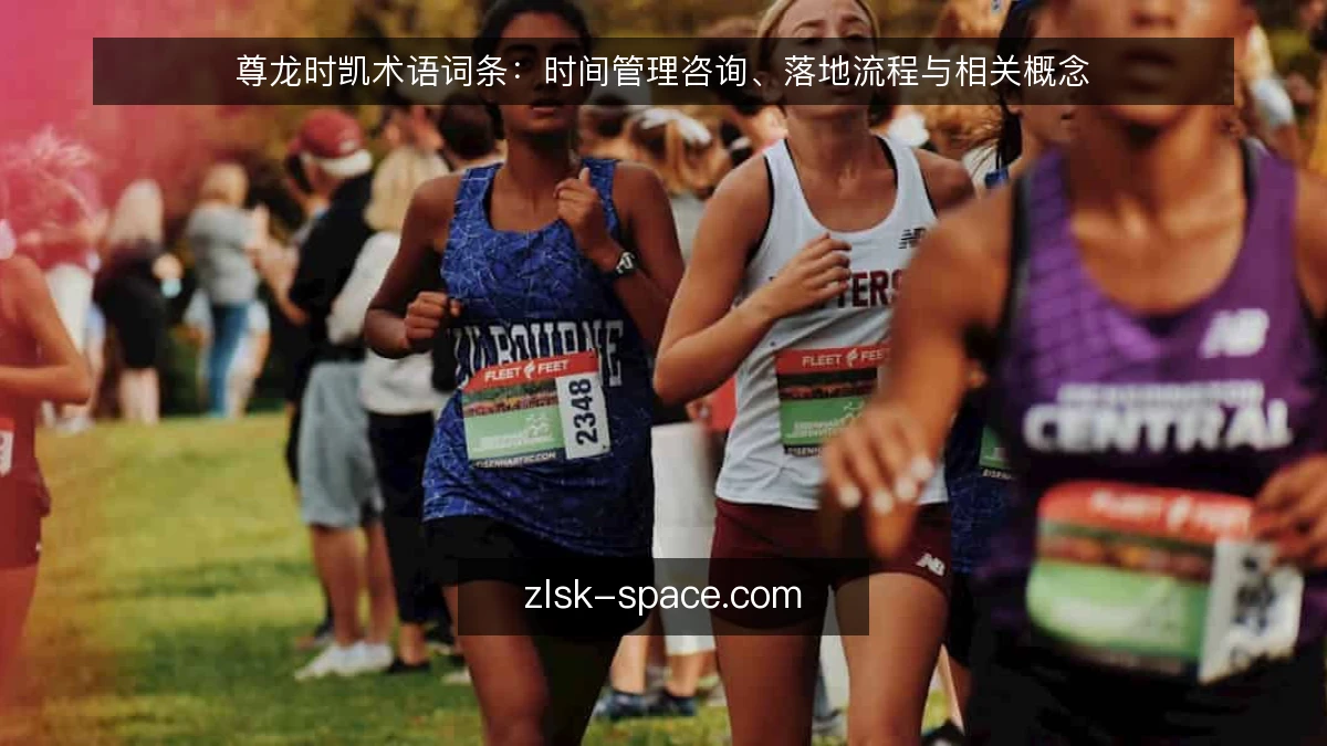 尊龙时凯术语词条:时间管理咨询、落地流程与相关概念