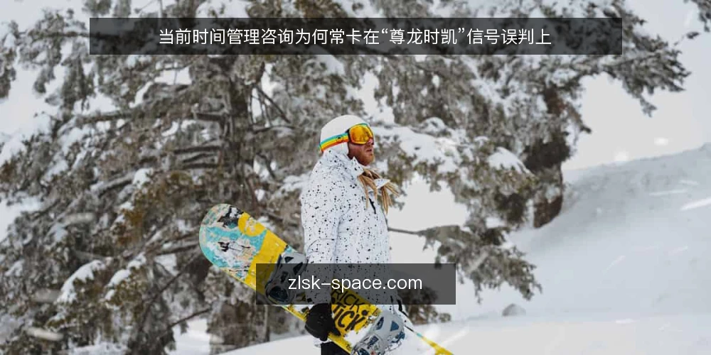 当前时间管理咨询为何常卡在“尊龙时凯”信号误判上 — 近期咨询项目里的信号误读 配图