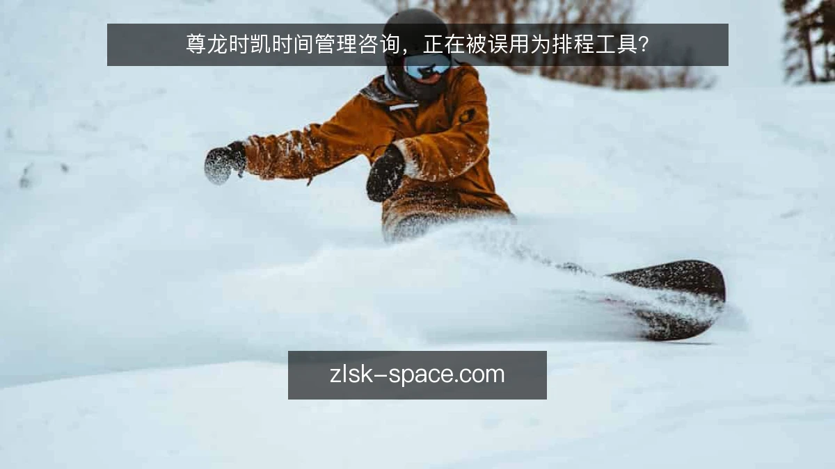 尊龙时凯时间管理咨询，正在被误用为排程工具？